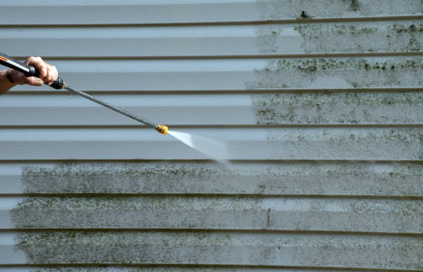 Best Vinyl Siding Pressure Washing in Adairsville, GA